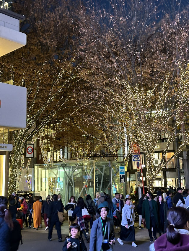 Exploring Tokyo’s busiest, most iconic districts means you’re in for a total sensory overload! 