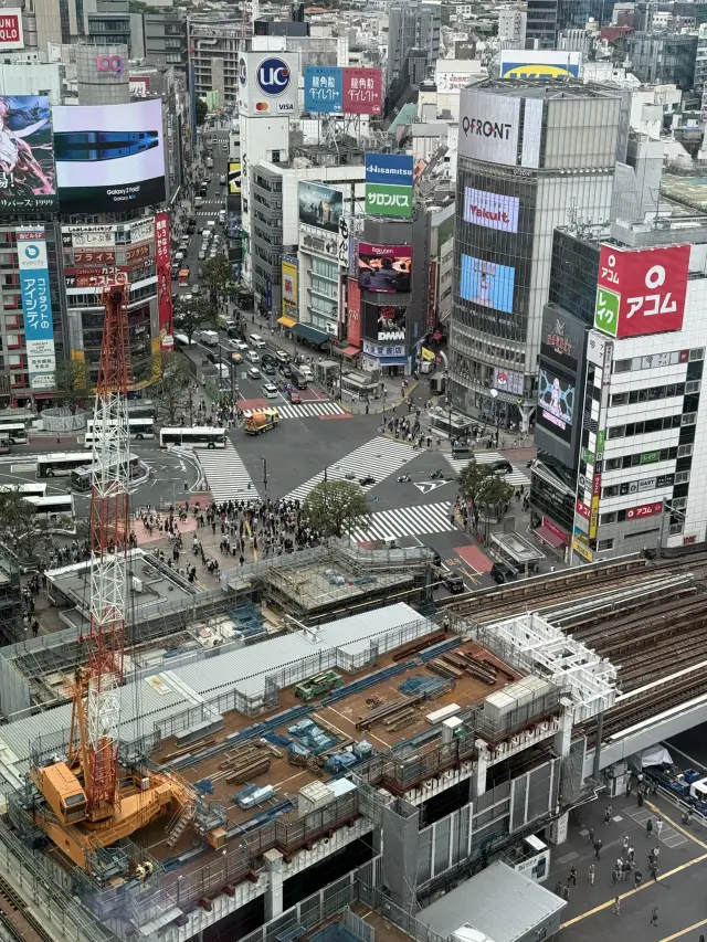 Shibuya Sky For Solo Travelers? It’s Still Worth Doing! check it out