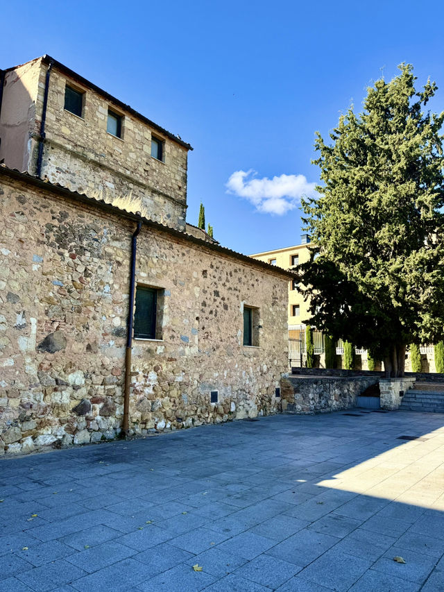 Art Rooted in Soul Art Rooted in Soul