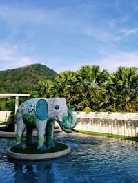 Ферма слонов, где запрещено кататься на них 🐘