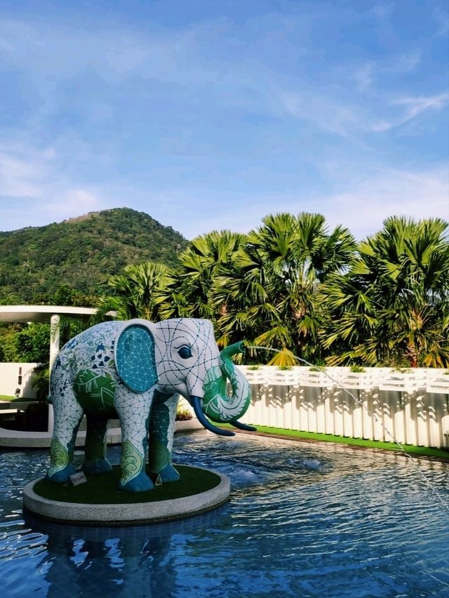 Ферма слонов, где запрещено кататься на них 🐘