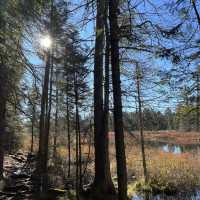 Algonquin Provincial Park