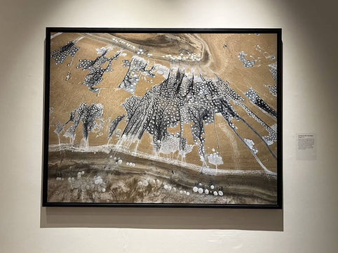 ✨ Saatchi Gallery – A Journey Through Modern Creativity 🎨✨ ✨ Saatchi Gallery – A Journey Through Modern Creativity 🎨✨