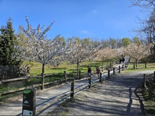 Bedgebury National Pinetum and Forest