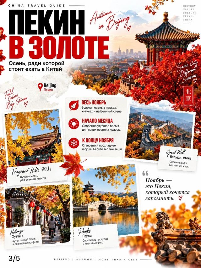 🇨🇳 Китай в ноябре: календарь событий и идей, ради которых стоит планировать поездку 🇨🇳🍂