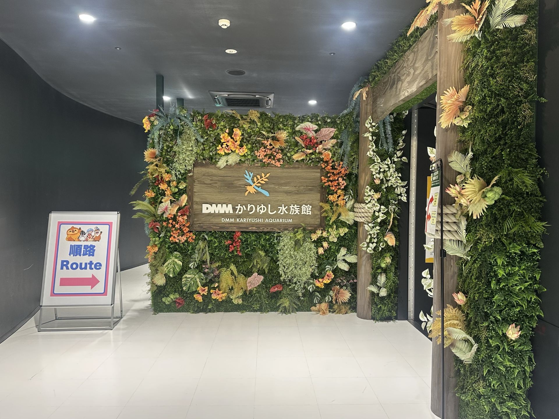 Super Convenient! The Ultimate Spot for Marine Life Lovers — My Experience at DMM Kariyushi Aquarium.
