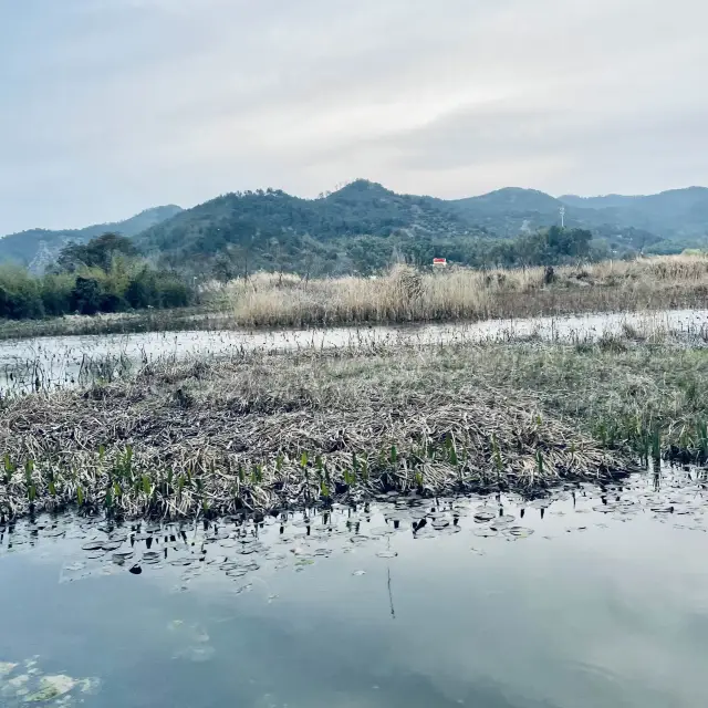 Discovering the Beauty of Dongqian Lake