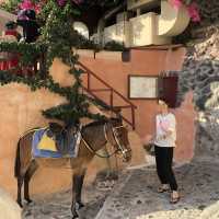 Colors of Santorini