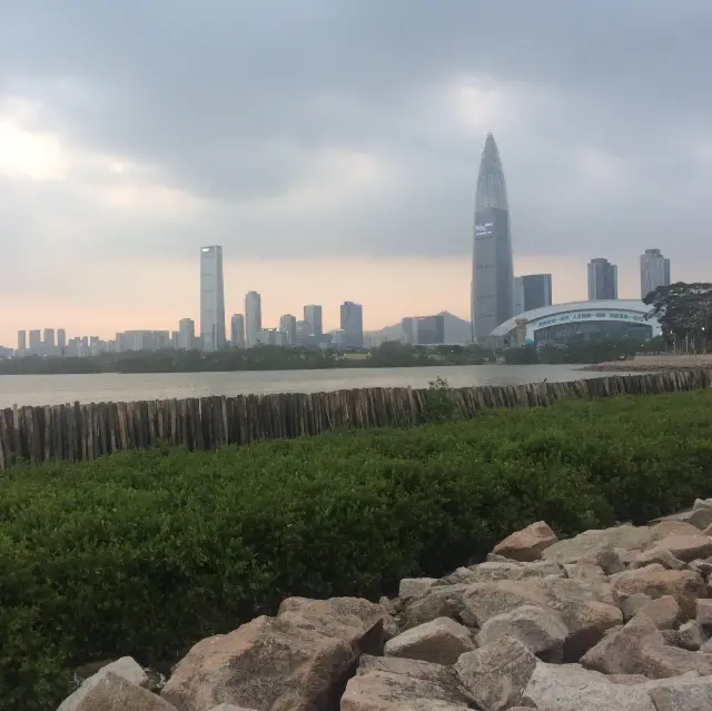 The Bay Park of Shenzhen!
