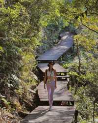 Hiking paradise｜Complete the Ngong Ping Trail in 4 hours!