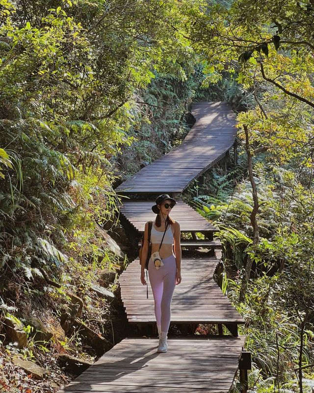 Hiking paradise｜Complete the Ngong Ping Trail in 4 hours!