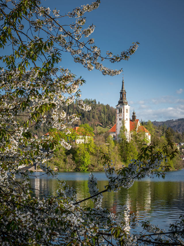 The stunning Lake Bled, named one of the 25 most beautiful destinations in the world by CNN.