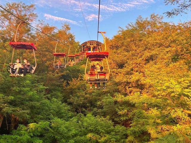 Sky-High Serenity: Zhongshan park 🌇🚡