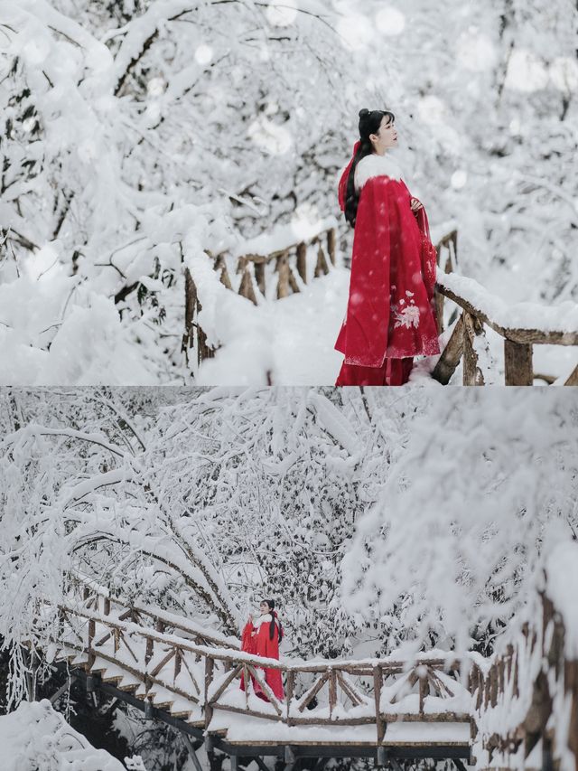 從成都出發2小時，這個冬天請不要再錯過這個寶藏耍雪地