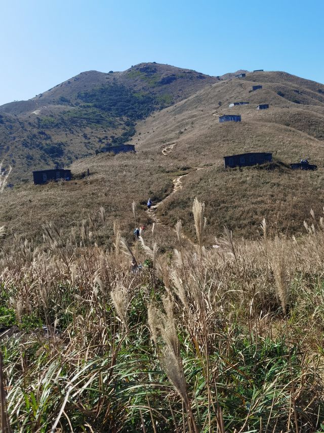 香港行山第十四站—鳳凰徑一段二段