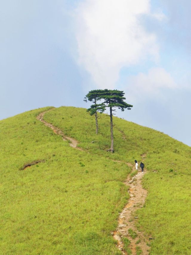 金秋時節，一起來武功山征服這座山吧