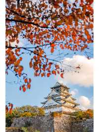 日本關西最具人氣景點，同樣也是賞秋好去處