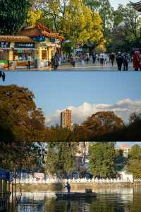 深秋的翠湖公園真的太美了（附攻略）