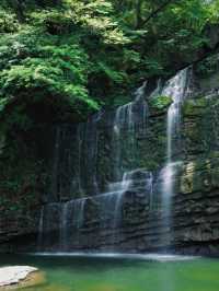 陝西省漢中市南鄭縣黎坪國家森林公園｜西安周邊遊｜一步一景四季如畫