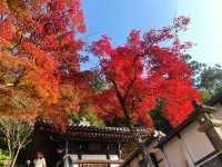 京都圓山公園 日式風格園林