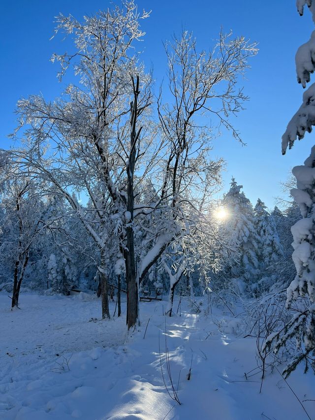 雪國美景，老裡克湖