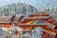 永州雙牌陽明山｜霧淞美如仙境，雲霧繚繞間散發出神秘而寧靜
