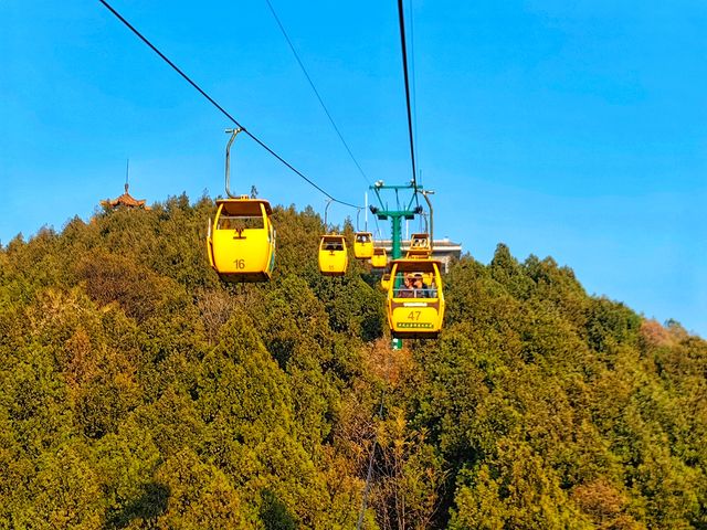 徐州遛娃必體驗｜坐一次湖濱索道