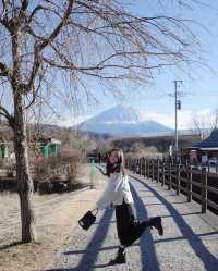 富士山下的世外桃源：河口湖美景的心動之旅