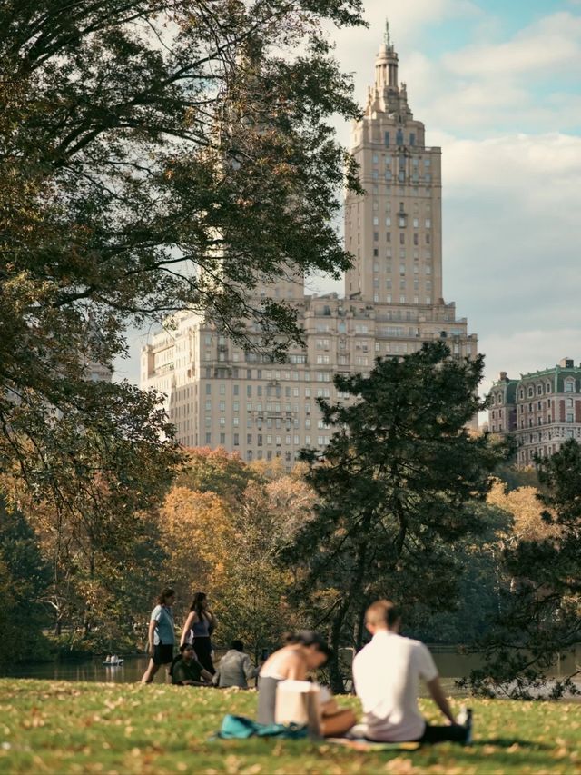 在紐約，住在中央公園是種什麽體驗🌳🏙️