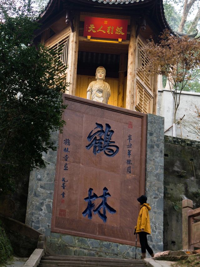 這個輕徒步天花板是不是全成都人都知道了