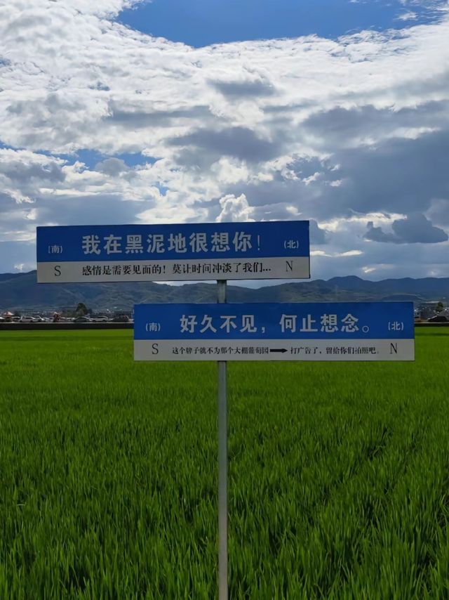 沒有濾鏡，只有藍天和白雲