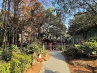 武漢周邊泡湯，應城湯池溫泉，百餘個池子，還有溫泉海浪太贊了！