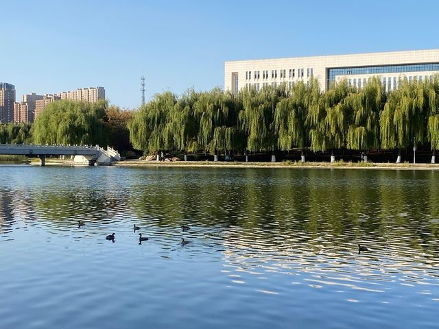 今日遊玩推薦：長春南湖公園綠意盎然，南湖公園等你來探秘