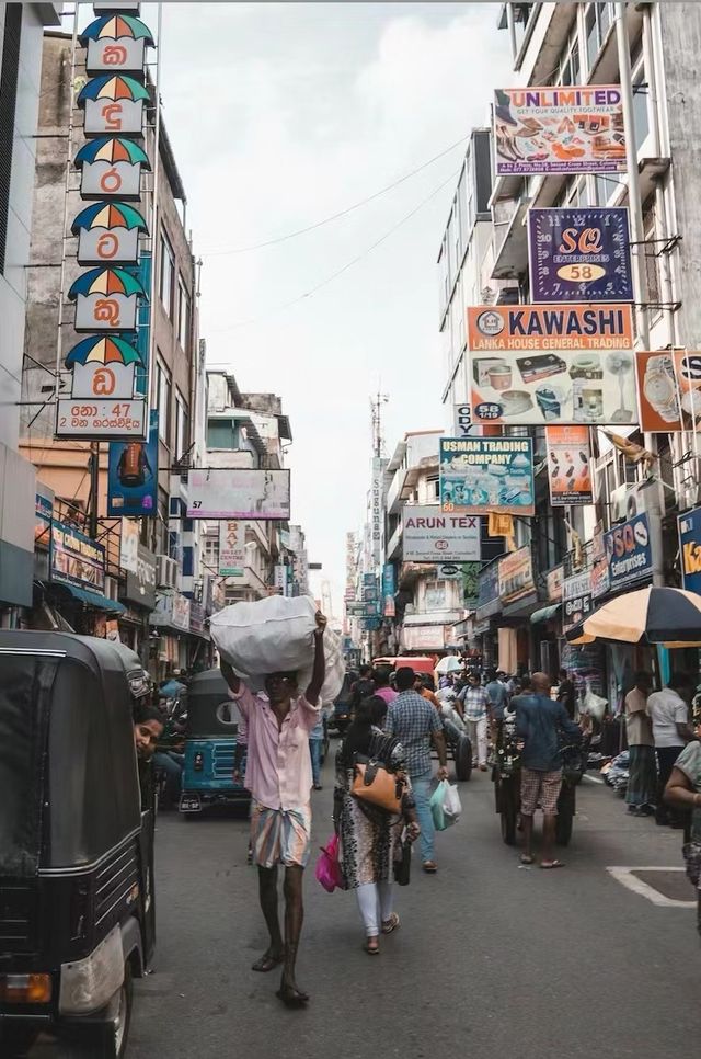 放棄馬代，不擠巴里島推薦冷門小眾旅遊地﹣-斯里蘭卡！