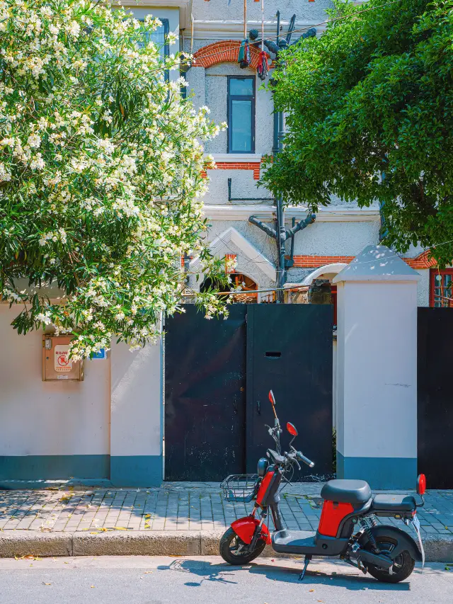 Shanghai's most charming street—Hongkou Road