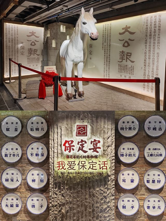 保定宴 | 來這裡,共赴一場保定盛宴! 保定宴 | 來這裡,共赴一場保定盛宴!