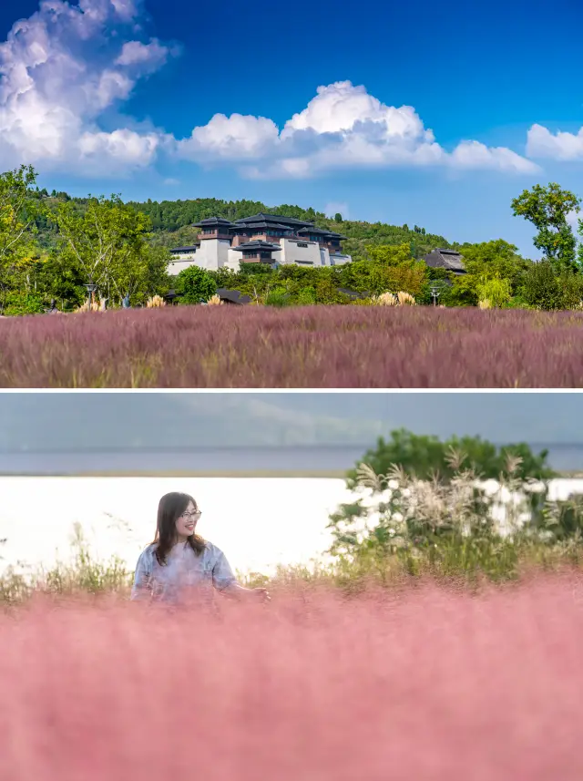 천년을 건너 뛰어 명예스러운 생활을 체험하다 | 츠후 니산 성지