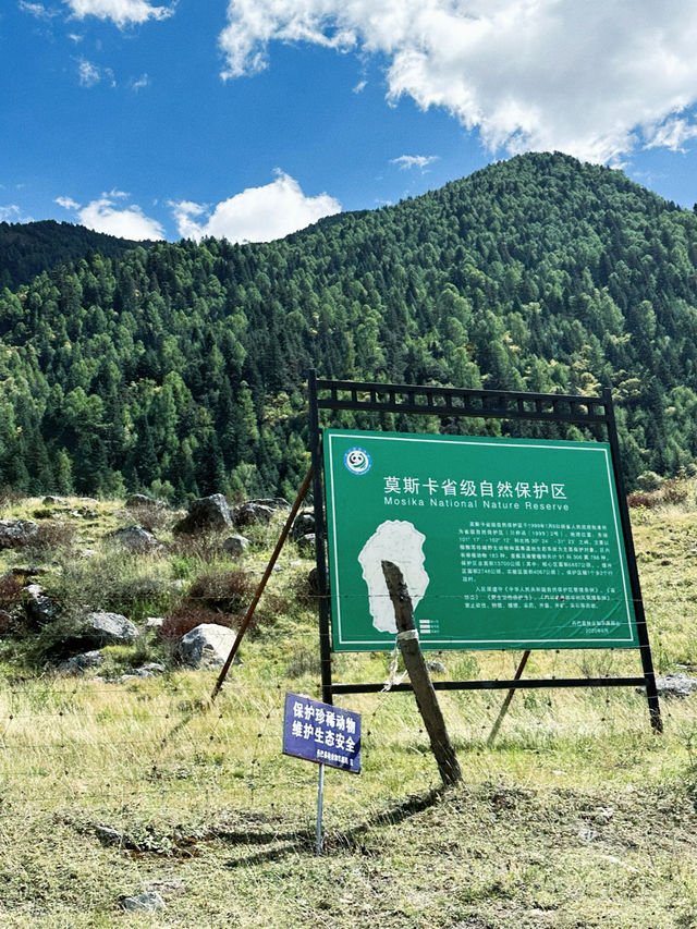 川西莫斯卡 | 尋找土撥鼠之旅