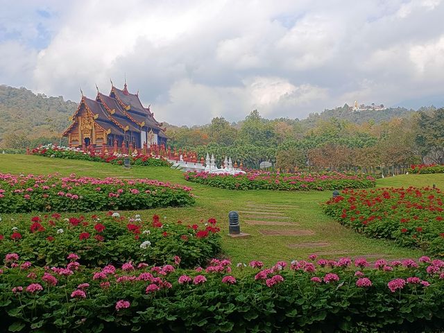 必去的地方在清邁 - 拉查帕皇家花園