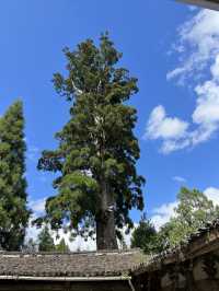 浙南最美古建，深藏密林深處