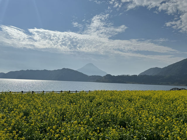 九州最大的池田湖