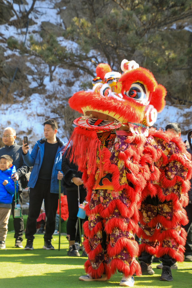 沂蒙山裡尋年味，這個春節我在這裡過