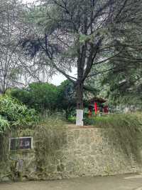 大象滑梯,並不是只在興慶公園有