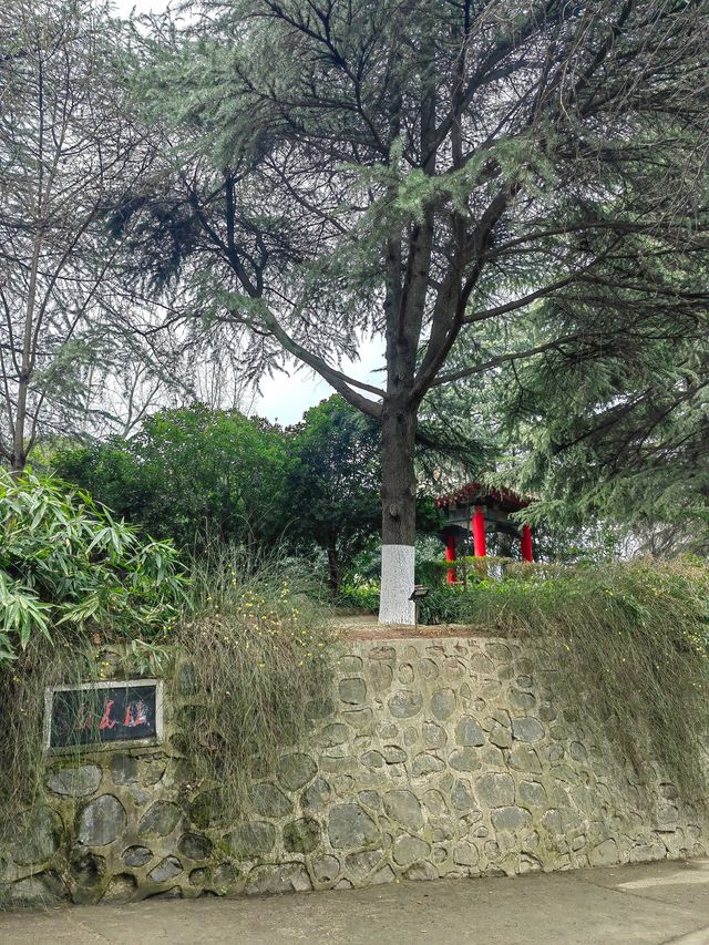 大象滑梯,並不是只在興慶公園有 大象滑梯,並不是只在興慶公園有