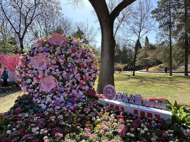 魅力花園節 約會春天裡