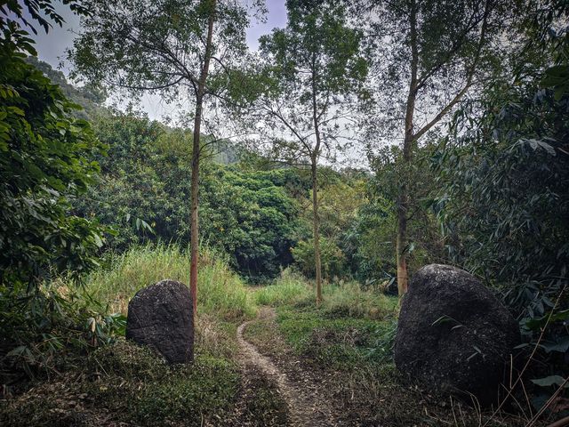 東莞探險| 莫非是傳說中的藏shi之地