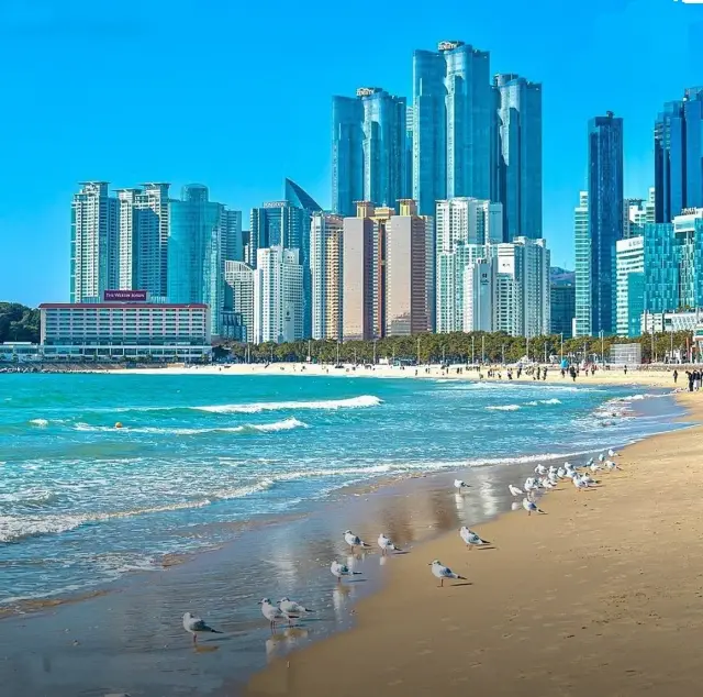 Haeundae Beach in Busan