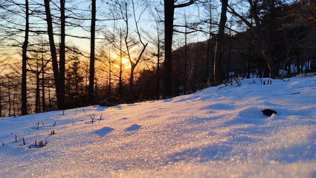 今日泰山日出比徐志摩的少了一層雲海