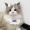 Serendipity_234_Foster