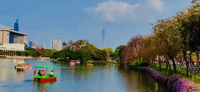 กรุงเทพฯ-สวนสาธารณะตงซานฮู-ดอกไม้คอตตอนที่บานในฤดูใบไม้ผลิ～